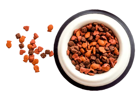 Pet food and toys